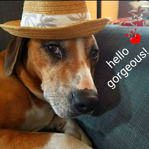 Not 4 Sale - Picture 1 of 7